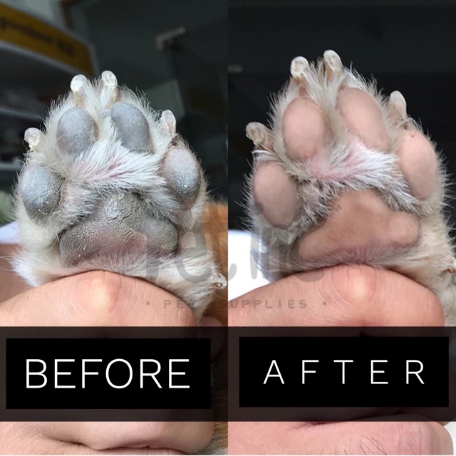 Dr Paw foot cleaning foam