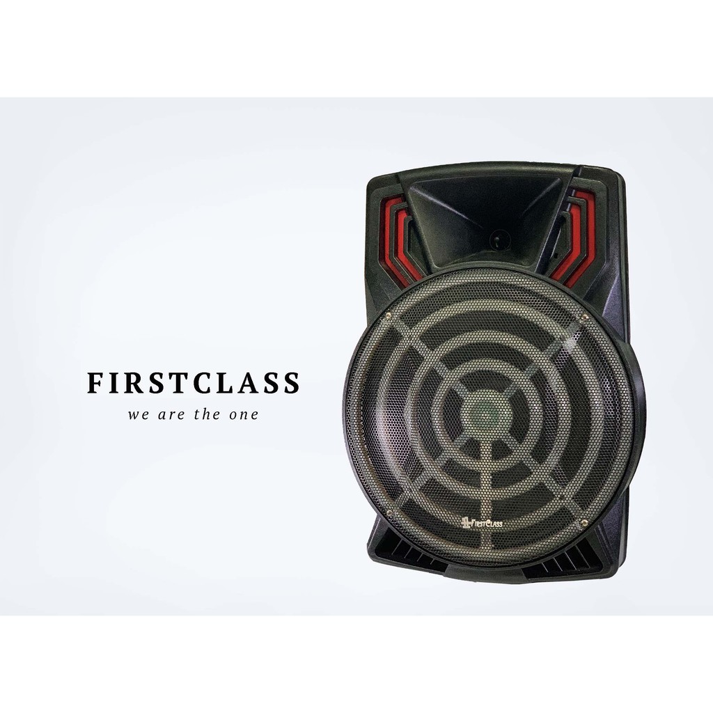 SPEAKER MEETING 15 INCH FIRSTCLASS