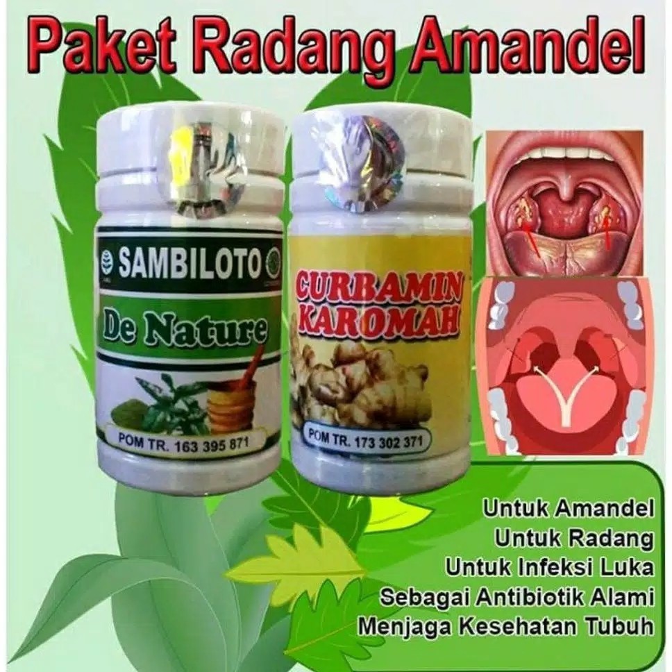 

obat Herbal Radang amandel tenggorokan, amandel, pembengkakan tongsil