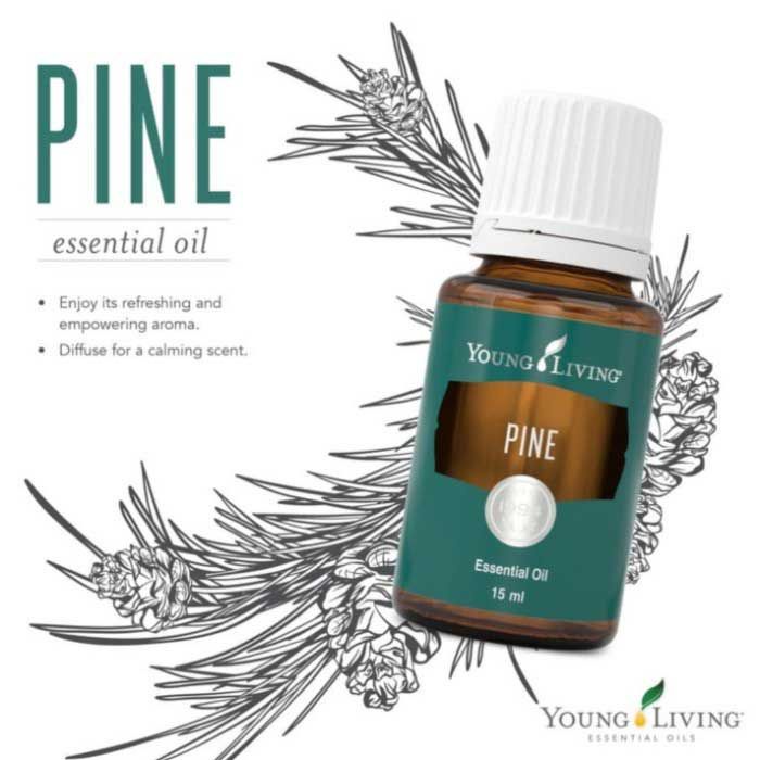 YOUNG LIVING ESSENTIAL OIL | PINE 15 ML