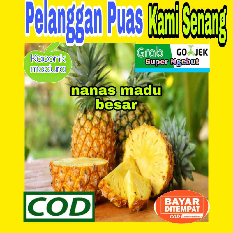 

Nanas madu jumbo/besar/nanas/buah segar/untuk diet/gula darah/untuk pencernaan/untuk asma