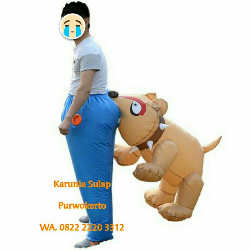 KOSTUM DI GIGIT ANJING