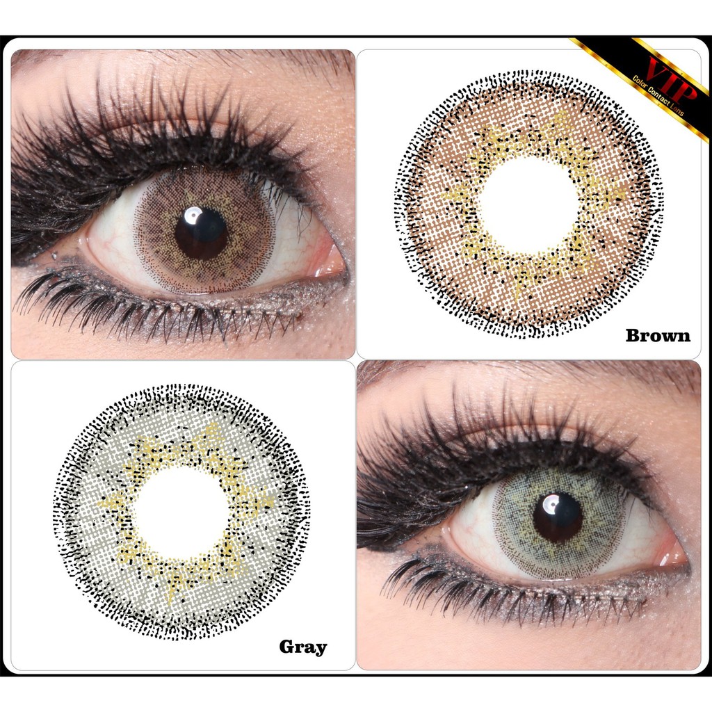 Softlens VIP Shades - Soflens Warna Gray Brown