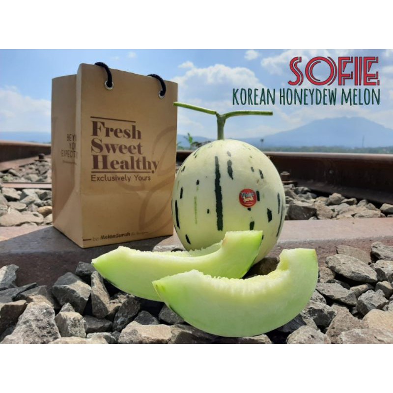 Melon Suruh Sofie Korean Honeydew