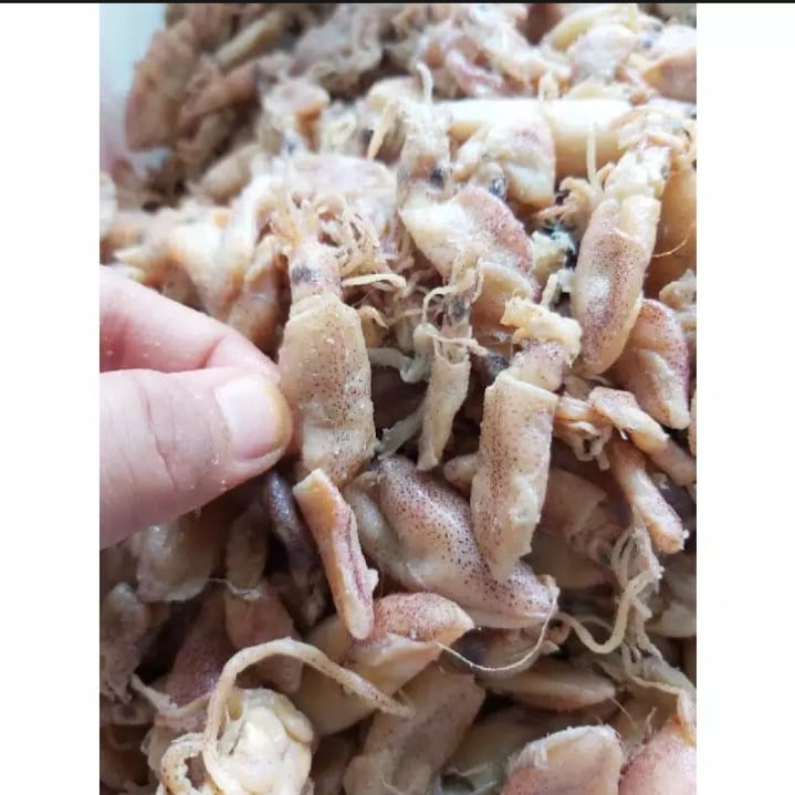 

Cumi Asin / Cumi Asin Murah / Cumi Enak / Cumi Gurih (500 gram)