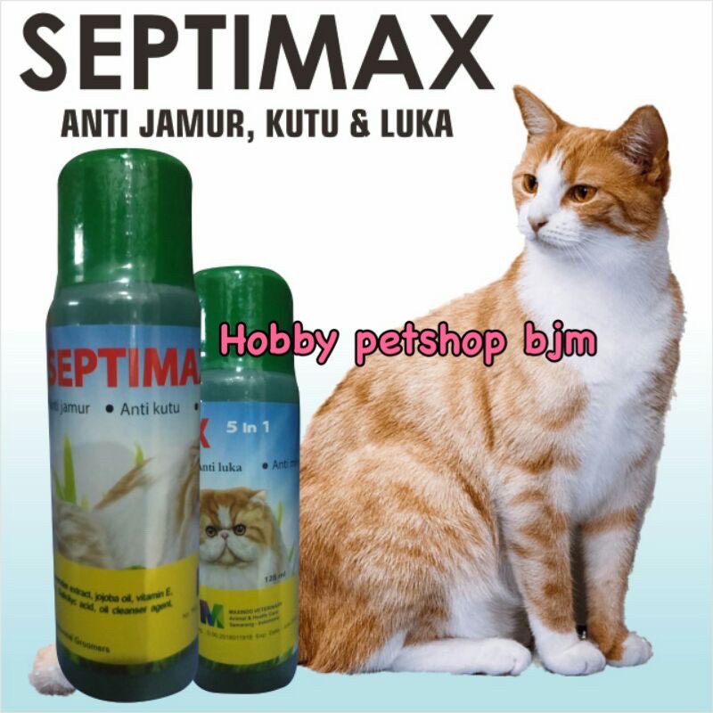 Septimax shampo 125ml - kucing anti jamur kutu luka bakteri shampoo sabun kutuan