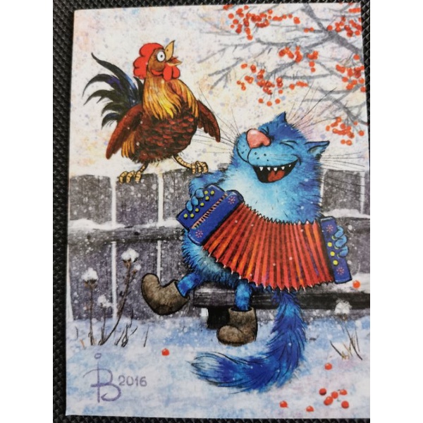 

kartu pos kucing bluecat/bluecat postcard04