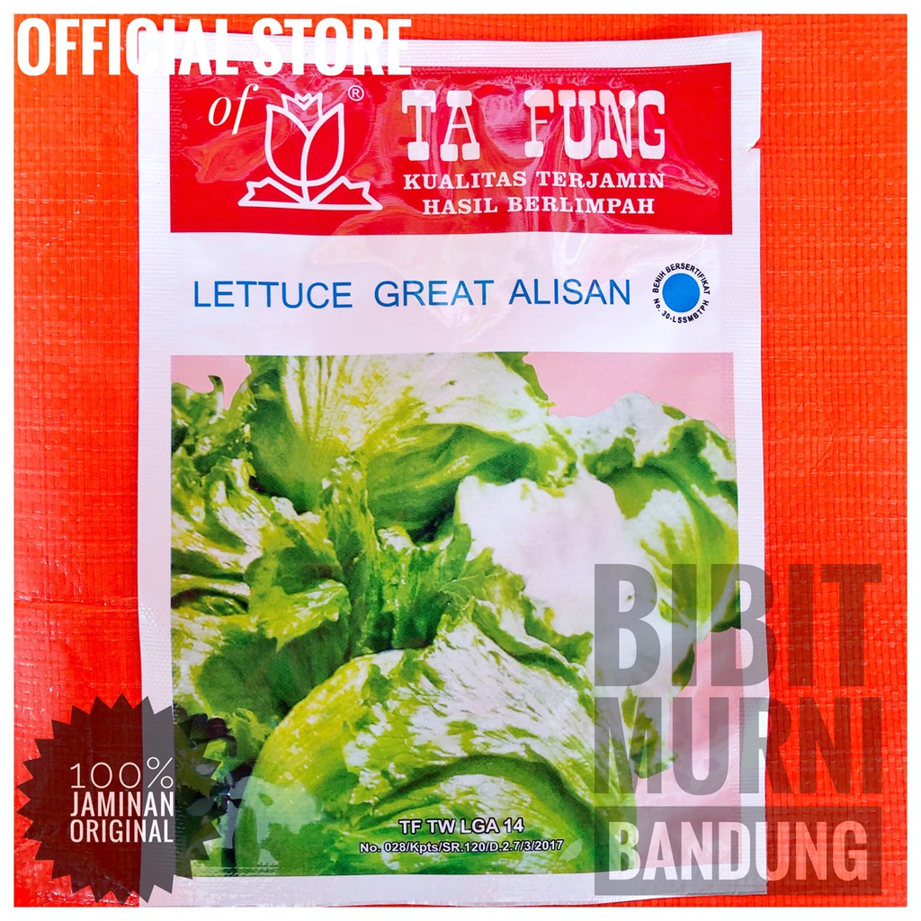 BENIH SELADA KOL ICEBERG LETTUCE ALISAN 10 GRAM ORIGINAL PACK -TAFUNG