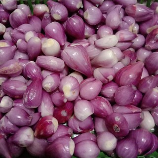 

bawang merah brebes kupas