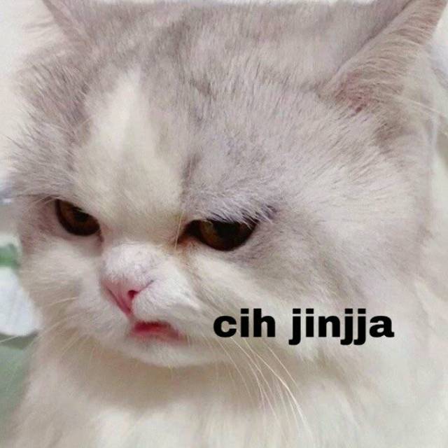 s*****a
