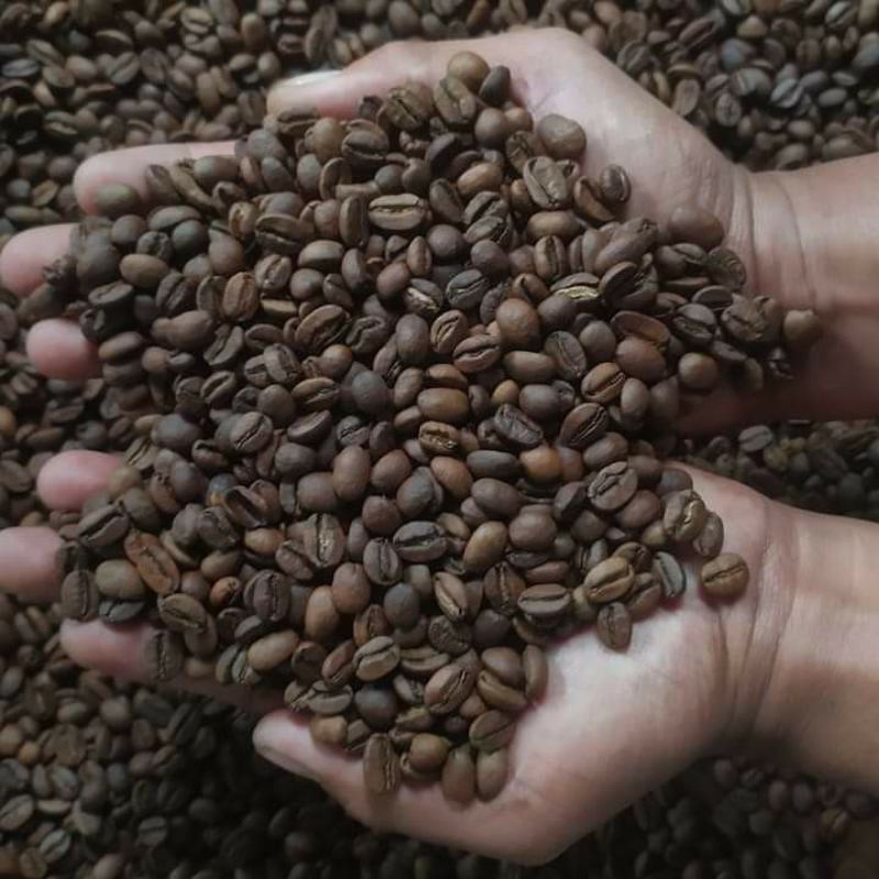 

kopi Lampung kopi Arabika kopilampungasli kopi khas Lampung