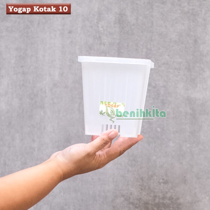 Pot Bunga Yogap Kotak 10