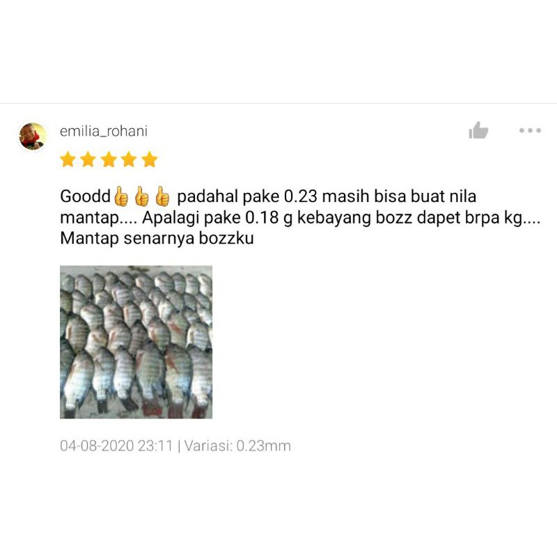 Senar Pancing Kuat Phenex WHALE POWER