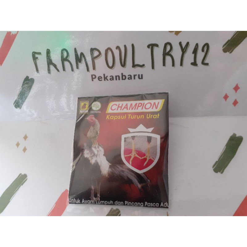 Champion Kapsul Turun Urat Ampuh Mengobati Ayam turun Urat Kaki Pincang Laki Bengkak