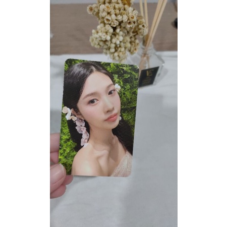 (READY) Photocard Red Velvet Feel My Rhythm