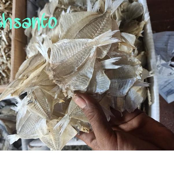 

✹ ikan asin kapasan pakang kering 1kg ✧