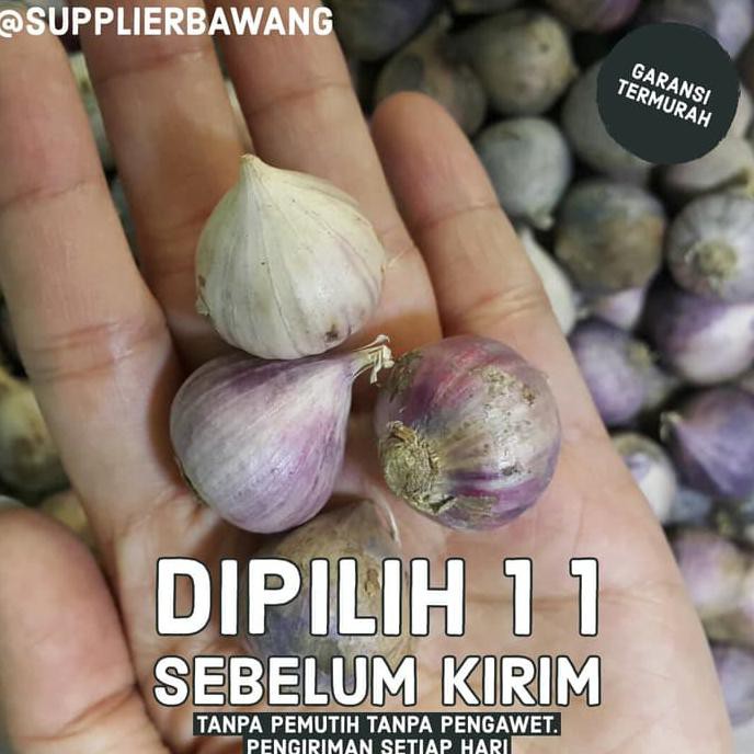 

Bawang putih tunggal 1kg