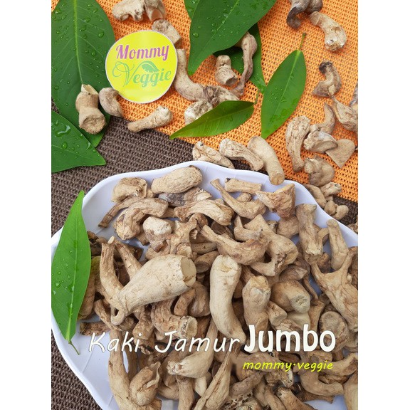 

Kaki Jamur Shitake Hioko 500 Gram | Ukuran Jumbo Campuran | Kualitas Baik dan Lebih Bersih