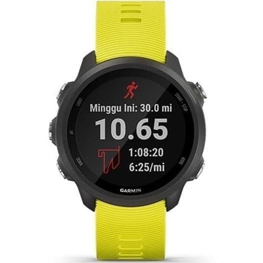 Garmin Forerunner 245