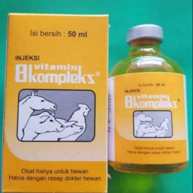Vitamin B kompleks  jeksi . vitamin ayam bebek sapi