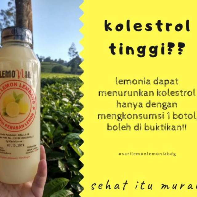 

SARI LEMON LEMBANG 100% MURNI 500ML