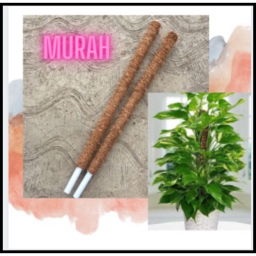 Turus Rambatan Tanaman Peralatan Berkebun