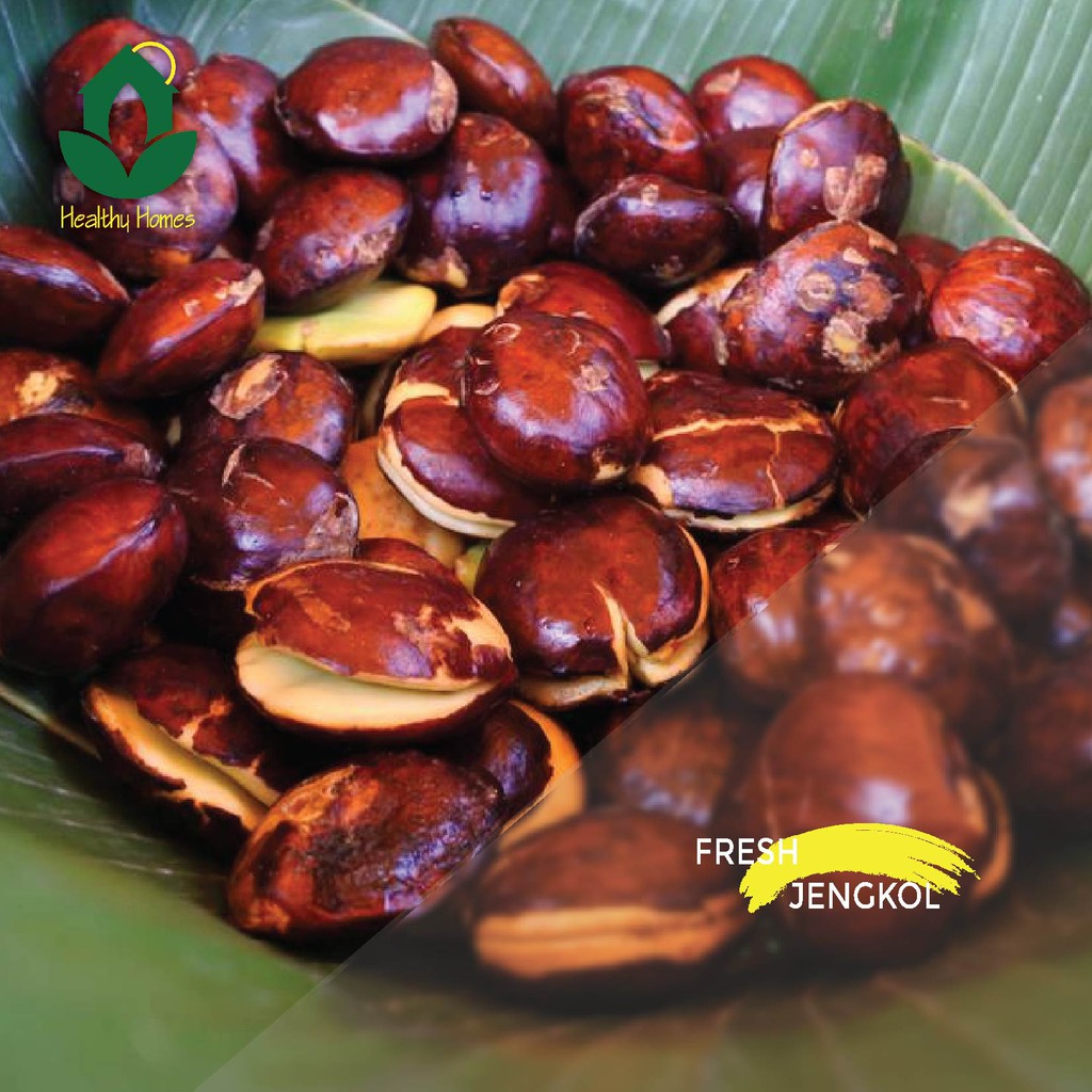 

Jengkol Segar dan Murah Jabodetabek