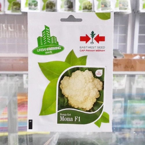 Benih Kembang Bunga Kol Mona F1 50 Biji – Panah Merah