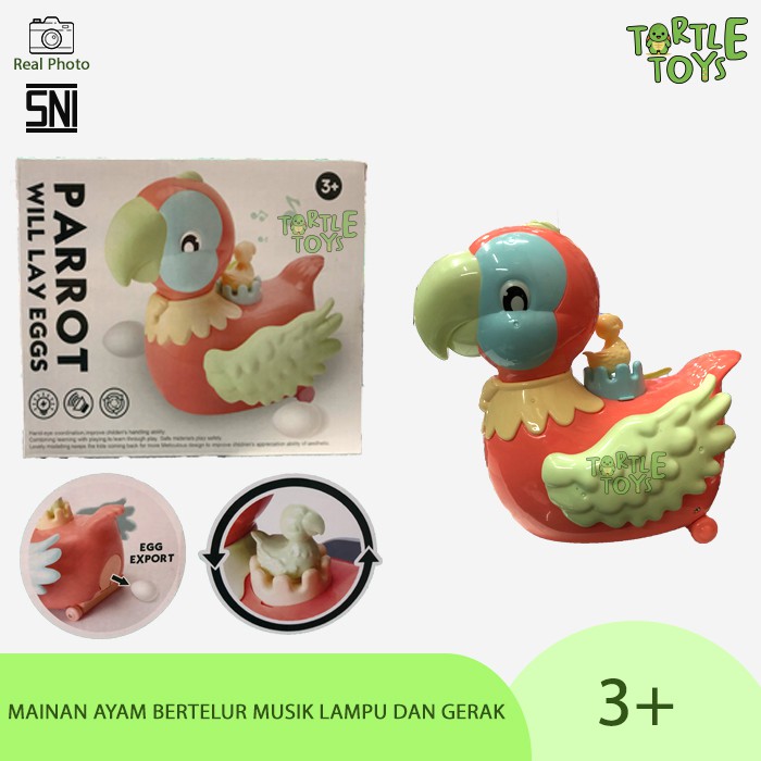 MAINAN BURUNG KAKAK TUA BERTELUR/ PARROT WILL LAY EGGS