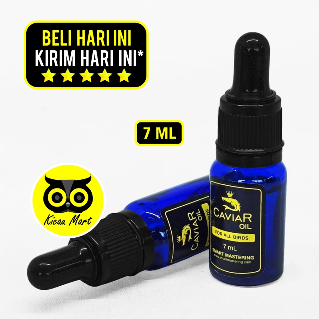 Caviar Oil Smart Mastering High Suplement Vitamin Dopping Burung Murai Kenari Cucak Lovebird Kacer Pleci Gacor Juara Lomba Multivitamin Smart Mastering Obat Penggacor Atasi Serak Macet Bunyi