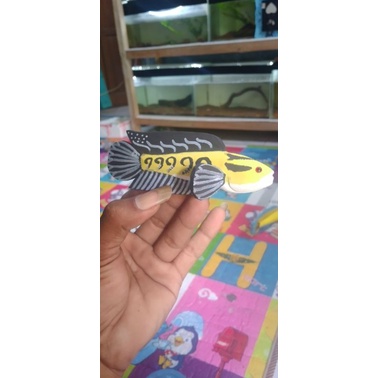 patung channa maru yellow sentarum