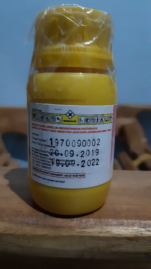 Regent® 50 Sc Red 50ml Insektisida Perlakuan Benih