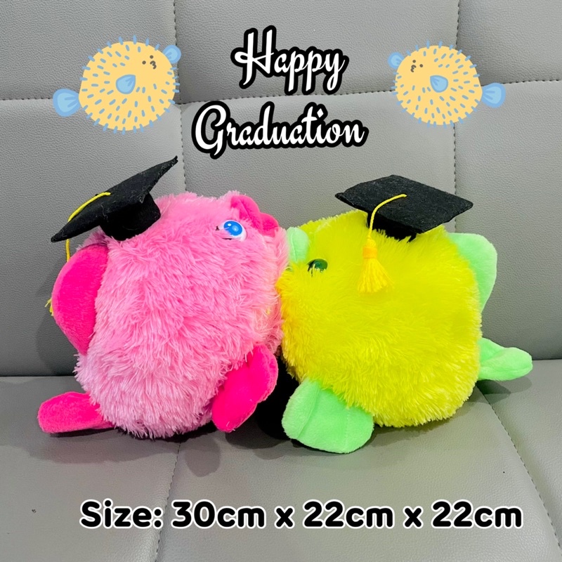 boneka wisuda ikan boneka graduation graduated boneka hadiah kelulusan ikan high quality