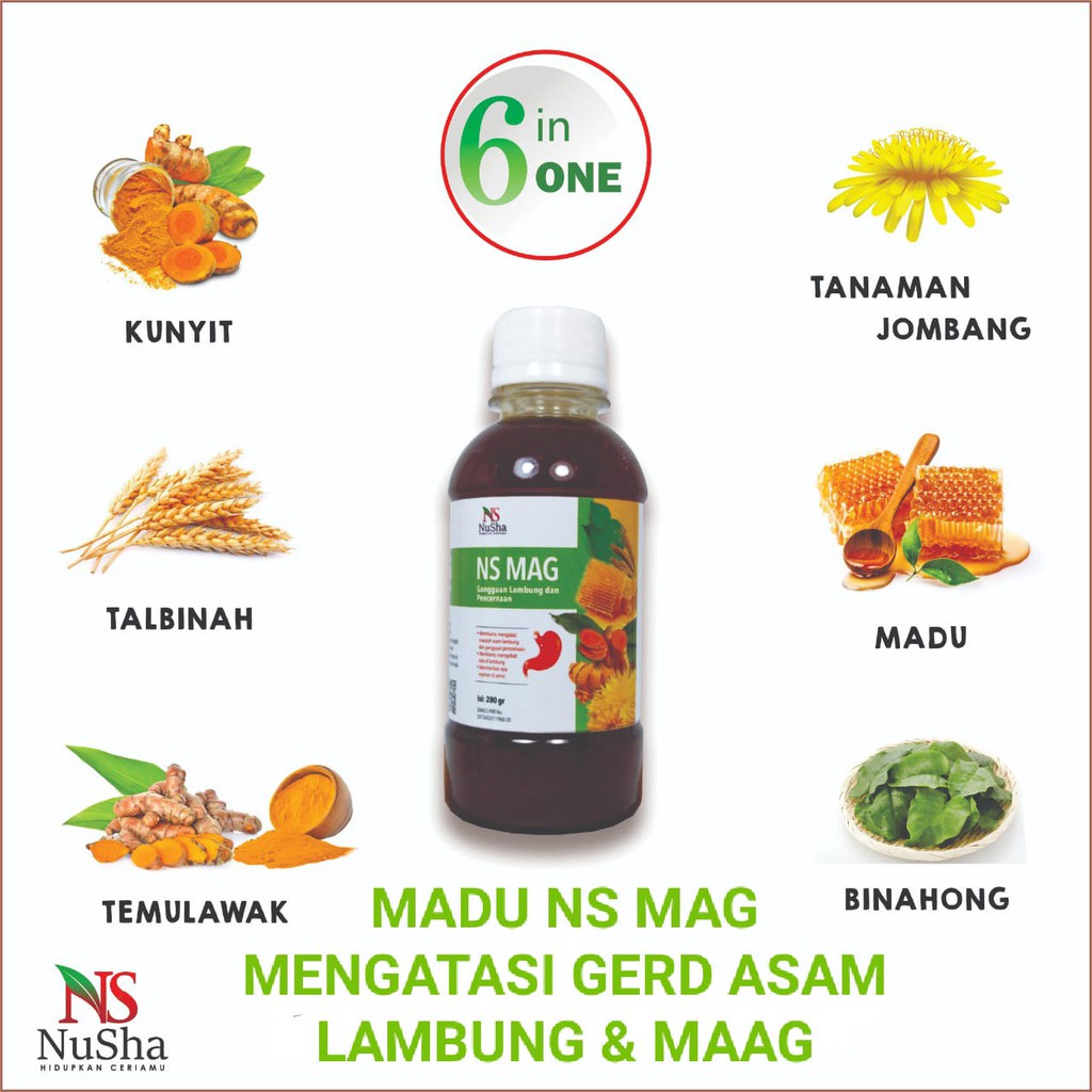 Mengobati Sakit Maag Asam Lambung Gerd Mual Kembung 280 gr  - Madu Maag NS MAG (6 in 1)