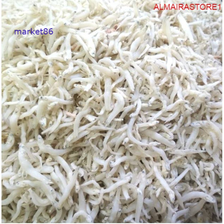 

Grosir 100 gram Ikan Asin Teri Medan Teri Nasi Segar murah - Market86