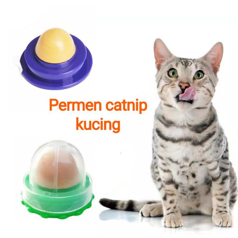 Snack kucing permen catnip camint jilat