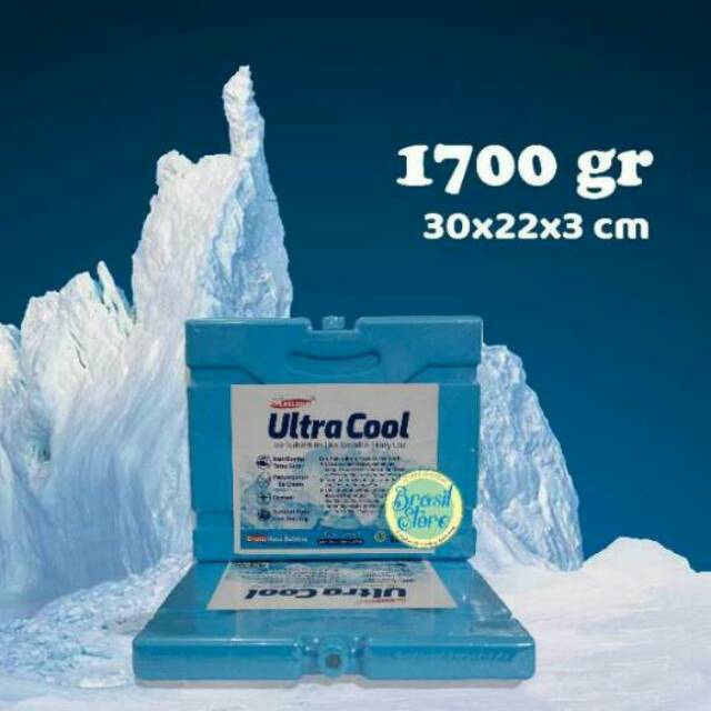 Ice pack/es pack besar/pengganti es batu