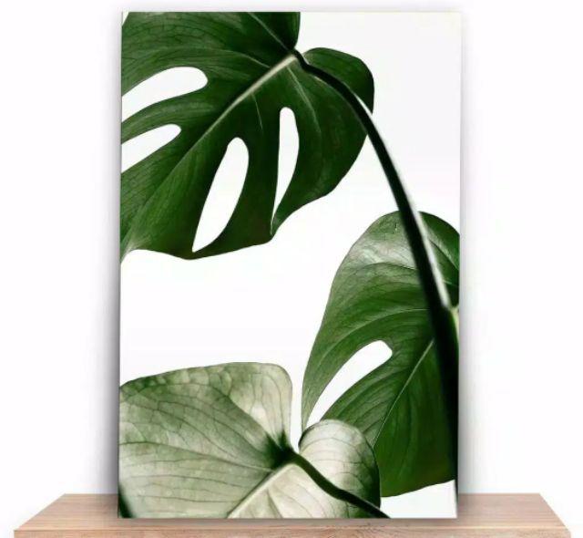 [bisa Cod] Hiasan Dinding Tropical Poster Kayu Walldecor Shabby Chic Monsterra Trs17