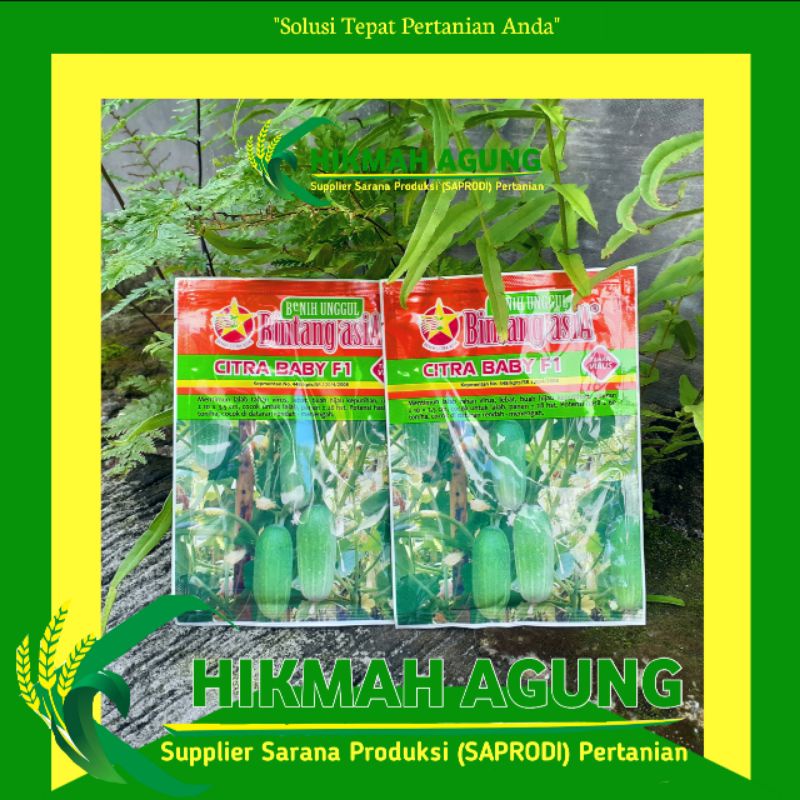 

Benih Timun Mentimun Citra Baby kemasan 20 gram - Bintang Asia
