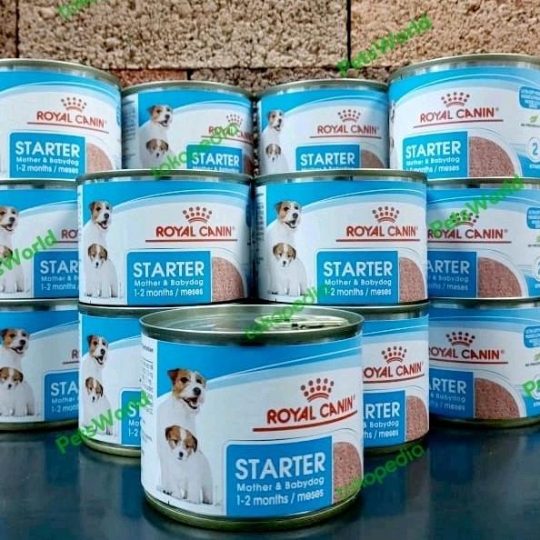 Royal Canin Starter Mousse 195gr