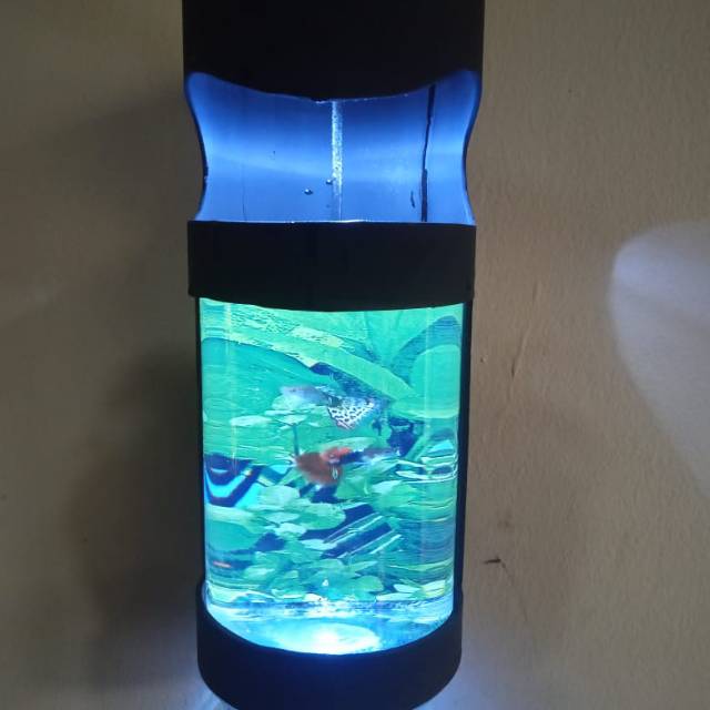Diy aquarium mini cylinder