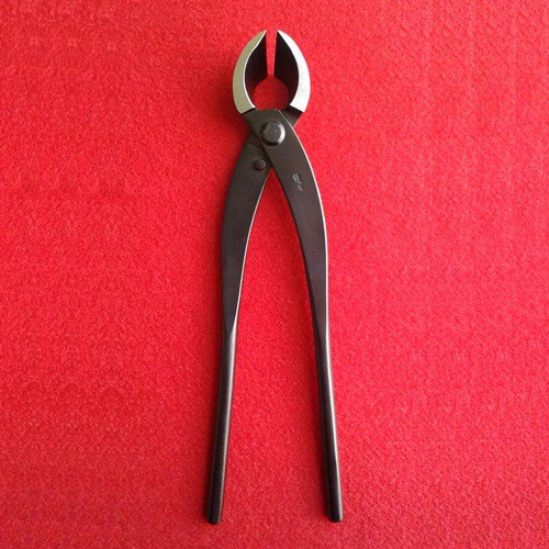 Catok Bonsai Karbon Medium Miring – Ryuga RC 17