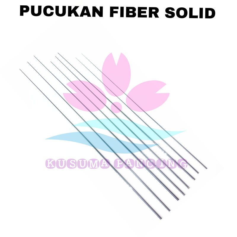 FIBER UJUNG TEGEK
