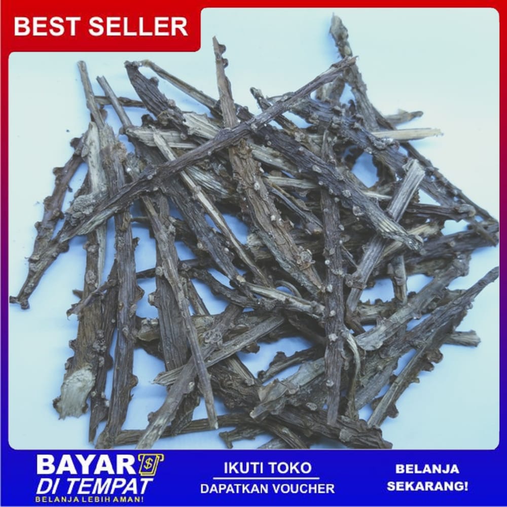 

Ts Murah [ 100 gr ] brotowali atau putrowali kering premium MURAH