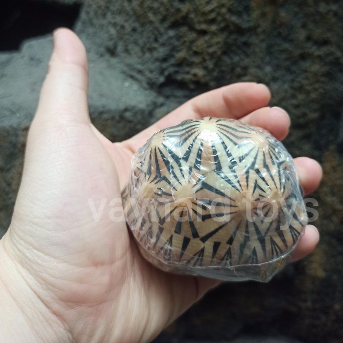 Flash Sale Radiated Tortoise White Turtle Gashapon Figure Dango Mushi Turtle Terlaris