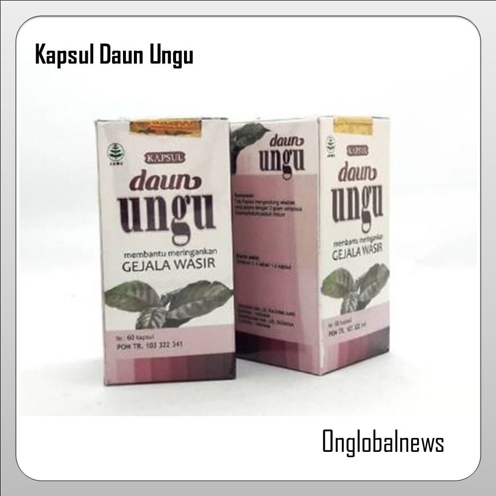 

Kapsul Ekstrak Daun Ungu Tazakka Membantu Meringankan Gejala Wasir