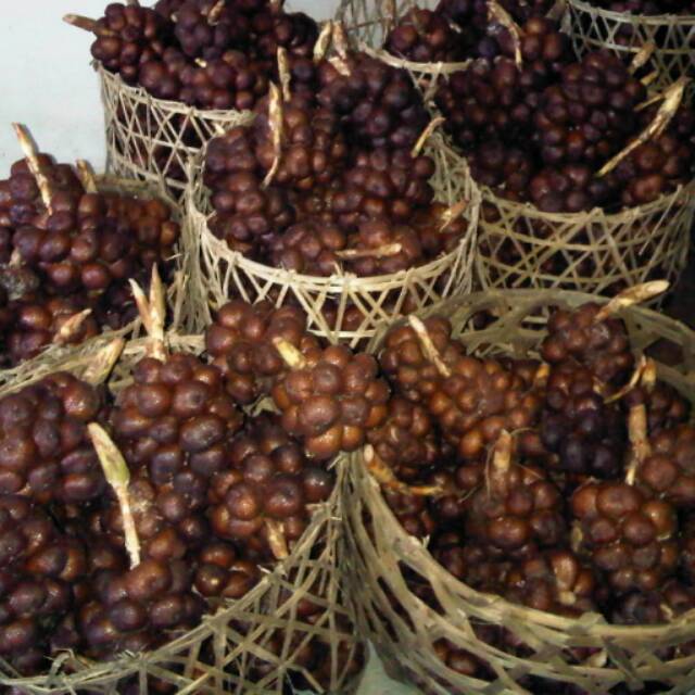 

SALAK BALI GULA PASIR FRESH FROM KEBUN