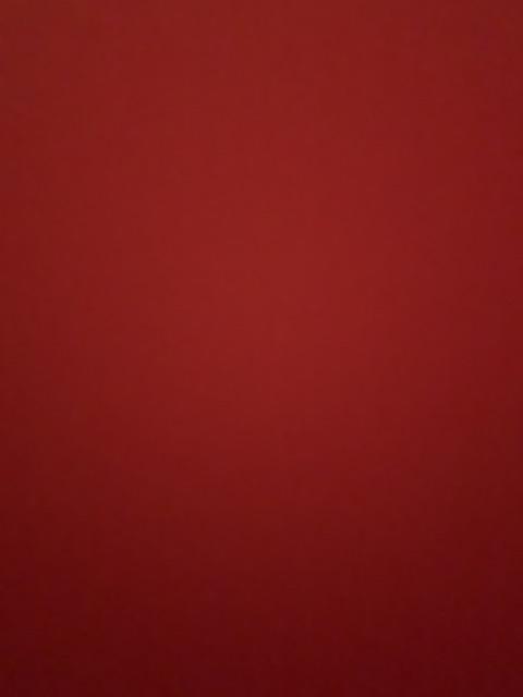 Cetakan Kue Mawar / Cetakan Pudding Mawar (isi 12pcs)