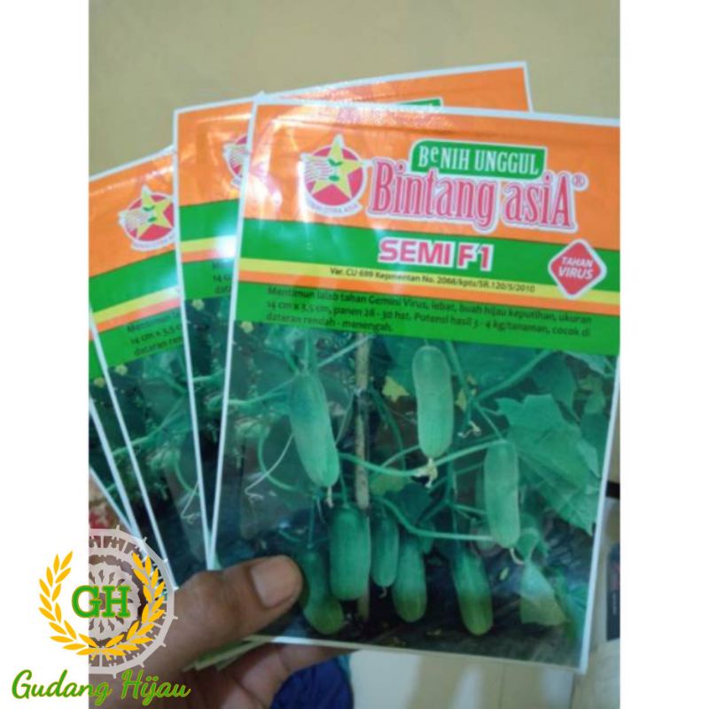 Benih baby timun SEMI F1 20 gram benih baby timun bibit babay timun