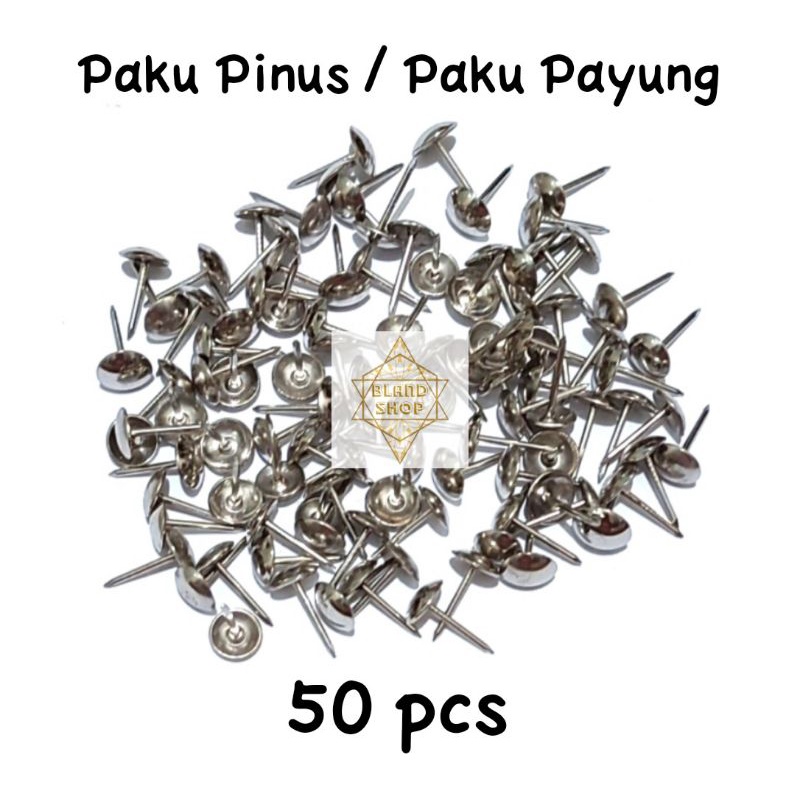 Paku Pines Paku Payung Paku Pinus Putih isi 50 pcs